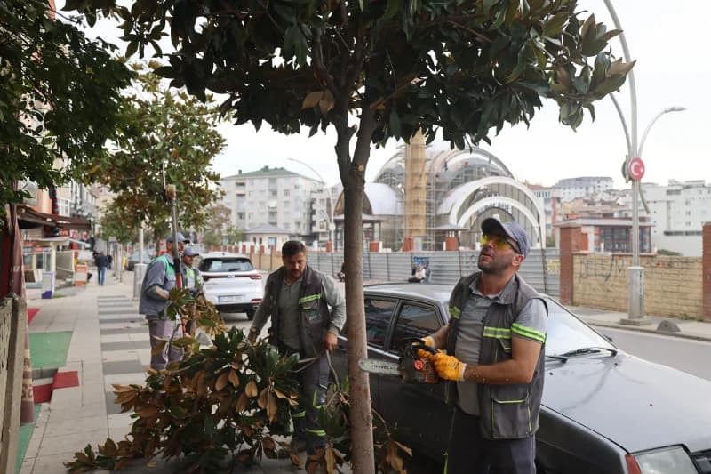 Çayırova'da mevsimlik budama çalışmaları başladı!