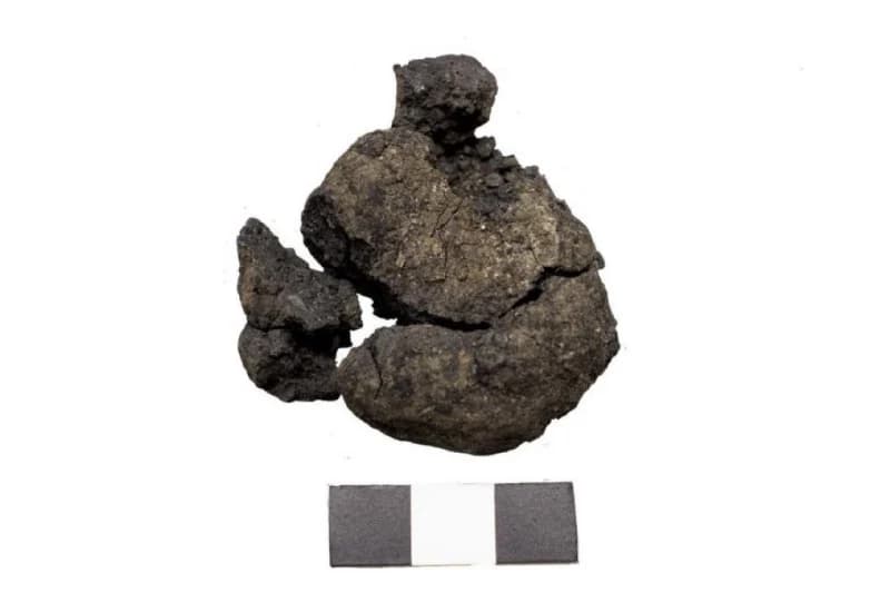 Çatalhöyük'te 8.600 Yıllık Ekmek Keşfi!