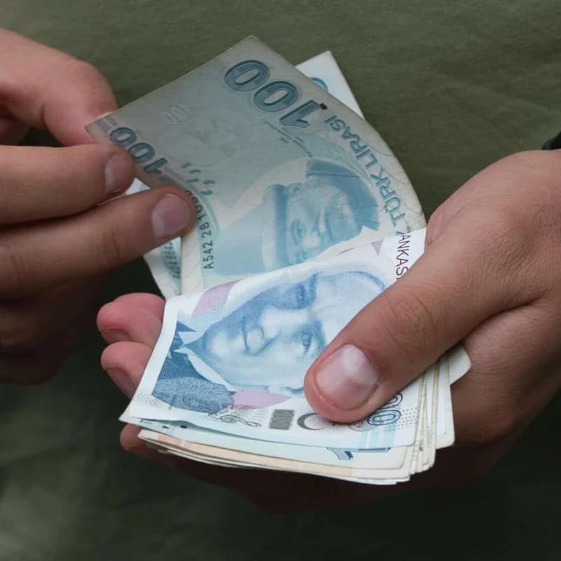 Vatandaşlık maaşı yeni yılda başlıyor!