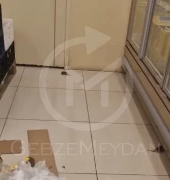 Gebze'de Şok Market'te Fare Skandalı!