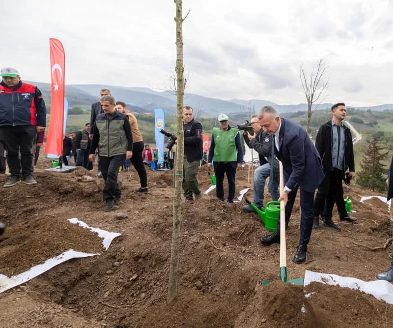 Karamürsel'de Yanan Bölge 3 Bin Fidanla Yeniden Yeşerecek!