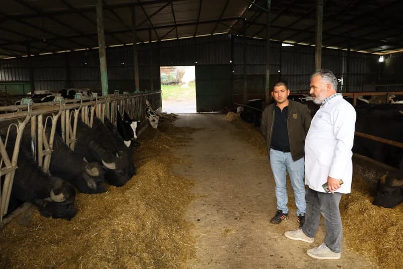 Kocaeli'de manda sayısı artıyor!