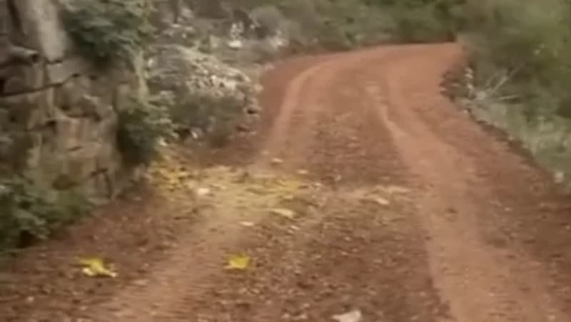 İzmit Gökçeviran'da Yol Sorunu!