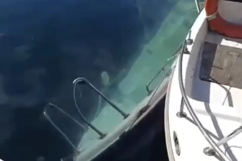 Darıca Marina'da Tekneler Batırıldı İddiası!