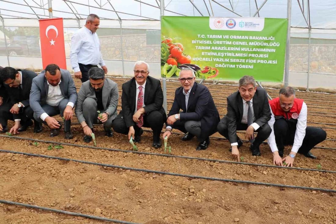 Gebzeli çiftçiye 500 bin sebze fidesi desteği