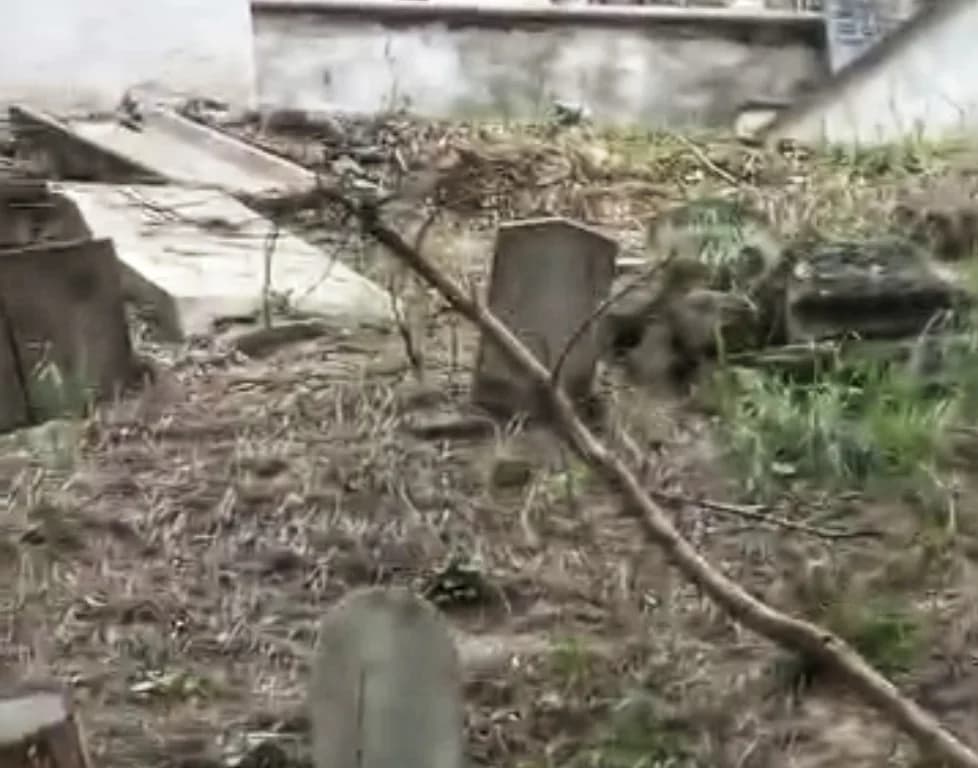 İzmit Asri Mezarlığı'ndaki Ağaçlar Mezarları Tahrip Etti