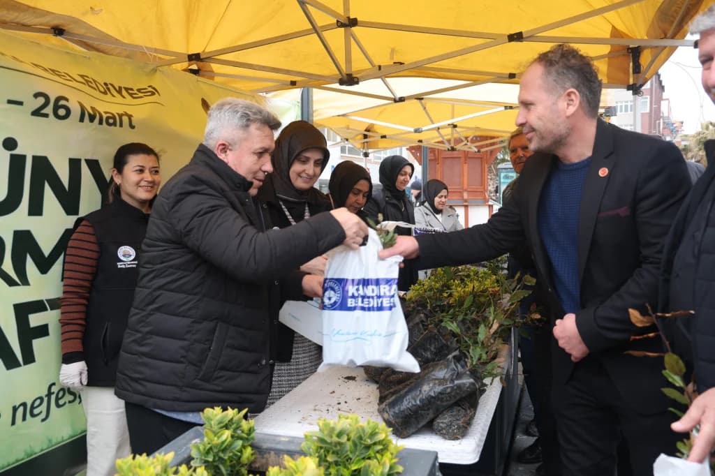 Kandıra'da 600 Defne Fidanı Ücretsiz Dağıtıldı